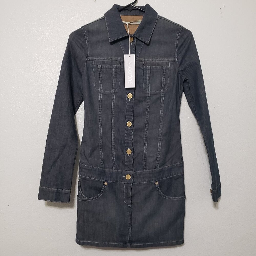 Superfine Denim Dress